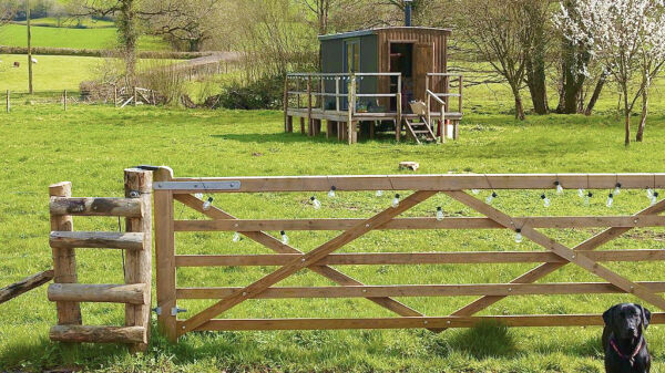The Sanctuary  campsite in Upottery, Honiton