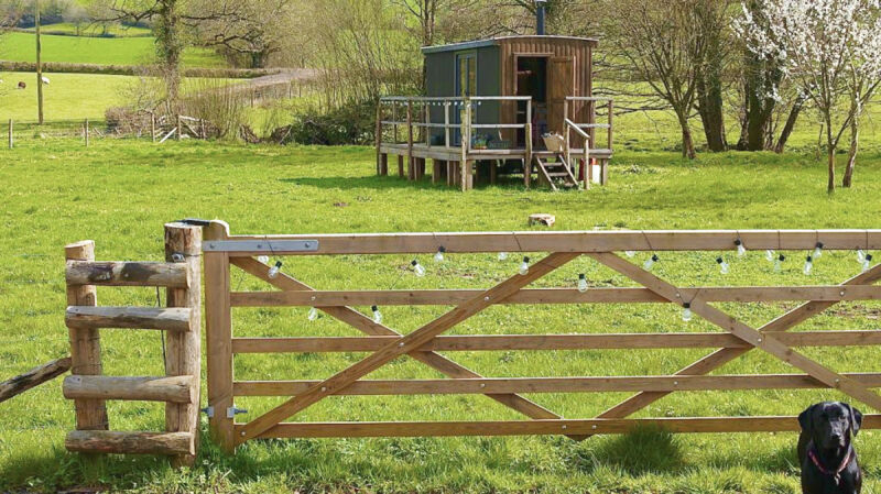 The Sanctuary  campsite in Upottery, Honiton