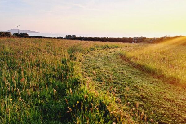 Ynys Mon A Mor campsite in Holyhead, Anglesey