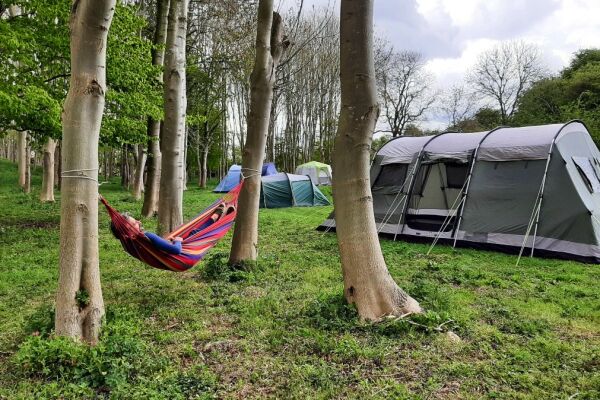 Springfield Woods campsite in Skirlaugh, Yorkshire