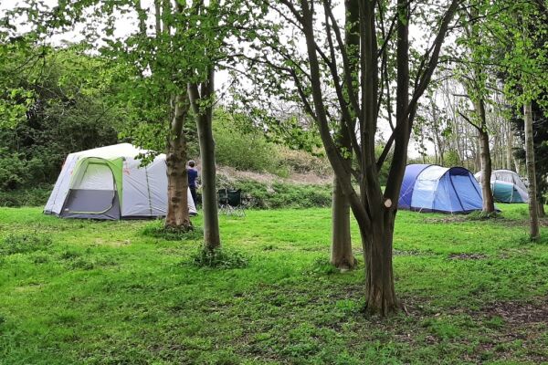 Springfield Woods campsite in Skirlaugh, Yorkshire