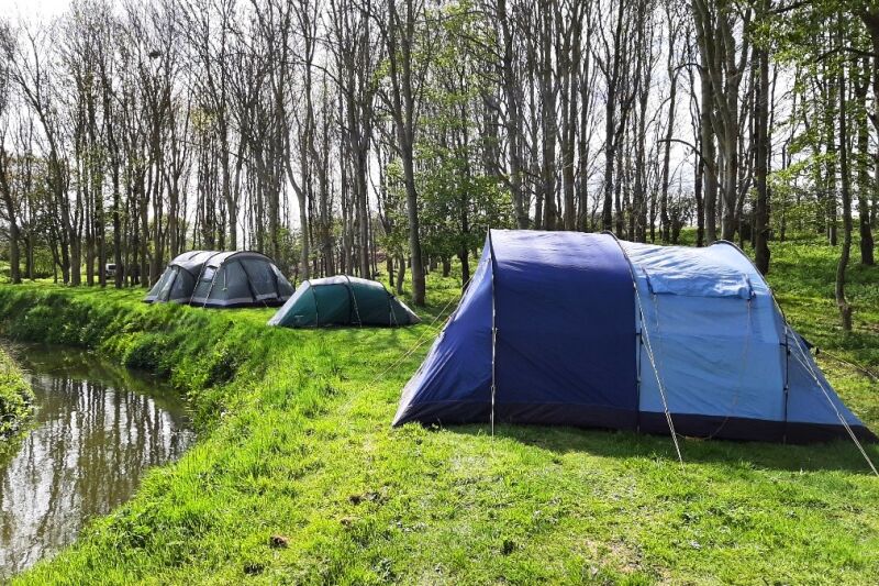 Springfield Woods campsite in Skirlaugh, Yorkshire