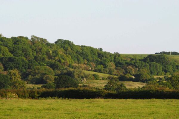 Great Cotmarsh Farm campsite in Broad Town, Wiltshire