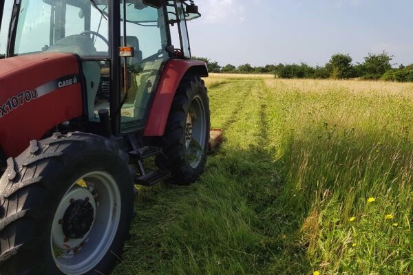 Sherwood Farm Holidays campsite in Ely, Cambridgeshire