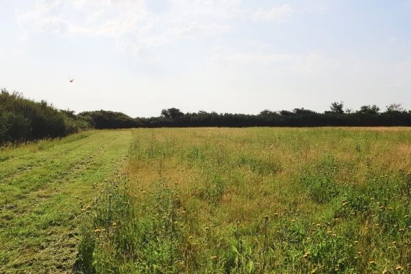 Sherwood Farm Holidays campsite in Ely, Cambridgeshire