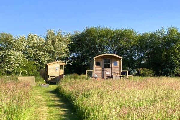 Brackenwood Glamping campsite in Holsworthy, Devon