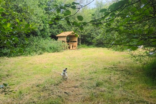 Cae Ddel Country Camping campsite in Criccieth, Gwynedd