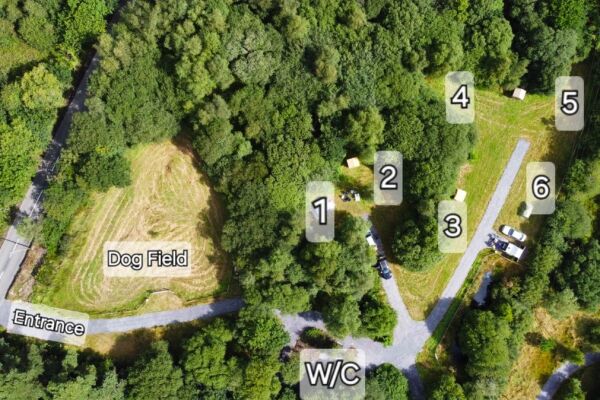 Cae Ddel Country Camping campsite in Criccieth, Gwynedd