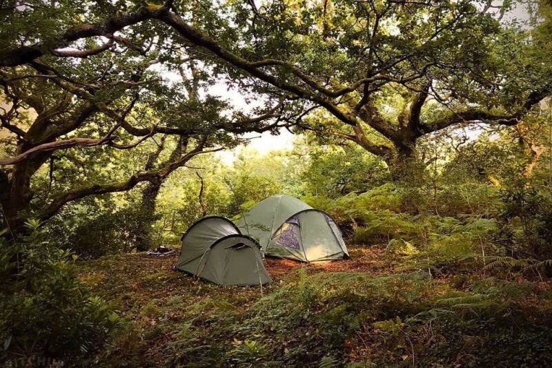 Cefn Coed Camping campsite in Dolgellau, Gwynedd