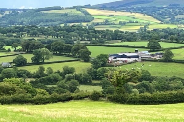 Little Dolwen campsite in Llanybydder, Ceredigion
