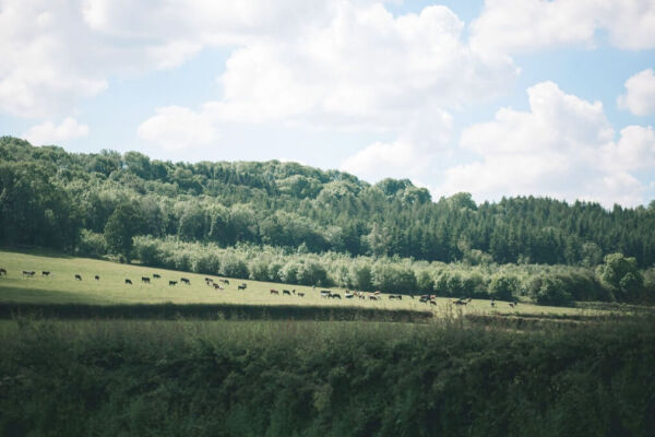 Corvedale Camping campsite in Much Wenlock, Shropshire