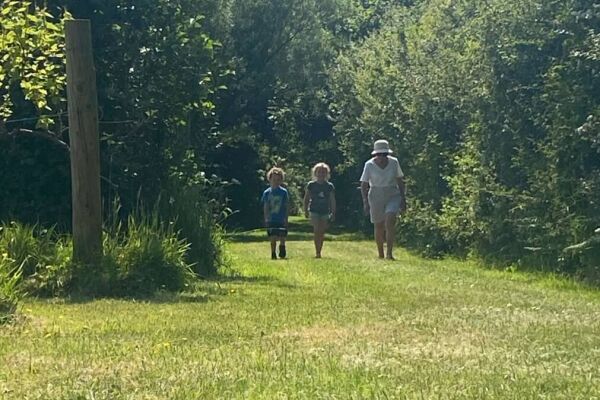 Oaklea Camping & Glamping campsite in Narberth, Pembrokeshire