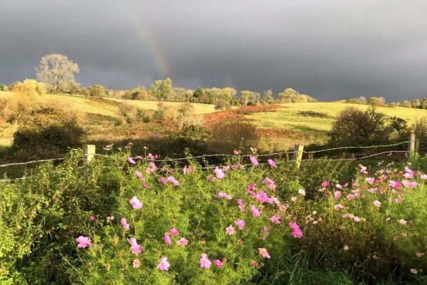 Bragenham Farm campsite in Leighton Buzzard, Buckinghamshire